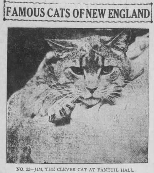 yesterdaysprint: Boston Post, Massachusetts, December 30, 1920 