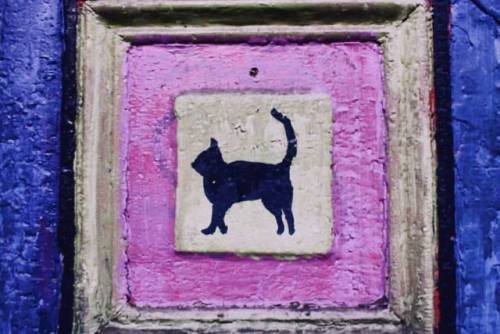 El paraiso de los gatos . . . . . . . . #chile #gato #cat #arte #calle #street #art (en Valpara&iacu