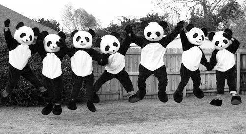 ana94x94:  Pandas♥. on We Heart It. http://weheartit.com/entry/69769629/via/yulianna_zavala_1