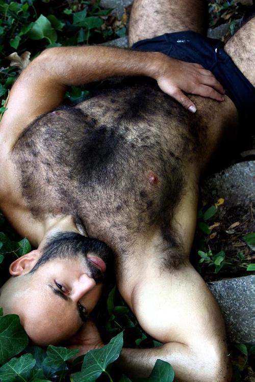 daddysboy57posts:  bullsandwolves:  Instagram - Twitter - Submit  Woof!!! Yum!!! 