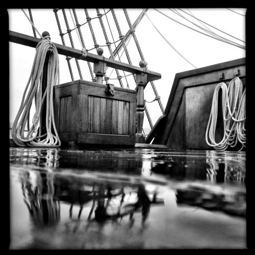 A Life Aquatic - Snapshots from aboard Galeon Andalucia - heading north along the Atlantic coast of Florida.
See the rest of the set here: http://ftlauderdalesun.tumblr.com/post/51001446106/raising-golden-sails-elgaleon-vivaflorida