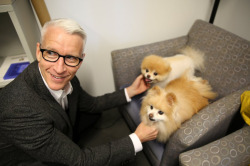 blinkingkills:   anderson cooper with boo