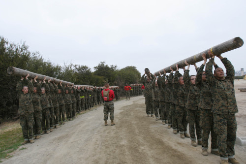 ceebee23: San Diego, Calif. - A drill instructor of Company D, 1st Recruit Training Battalion, encou