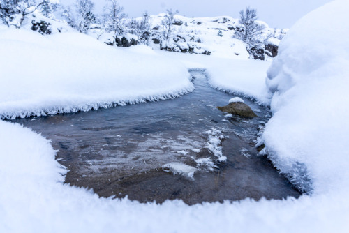 Snow crystals suspended on iceCredit: OutdoorLife Norway