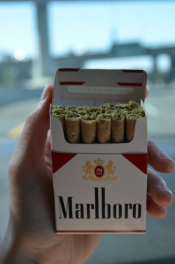 mahalo