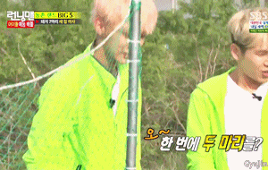 gyujin:  Jinyoung vs. piggies 