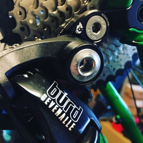 green-cog:山羊と狼。 #wolftoothcomponents #gevenalle #greencog #fairdalebikes #rockitship (Green Cog)