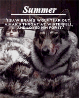 alexsexklaus:  thronesgifs challenge: [2] creatures » direwolves↳ These wolves