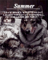 alexsexklaus:  thronesgifs challenge: [2] creatures » direwolves↳ These wolves are more than wolves, Robb. You must know that. I think perhaps the gods sent them to us. Your father’s gods, the old gods of the north.
