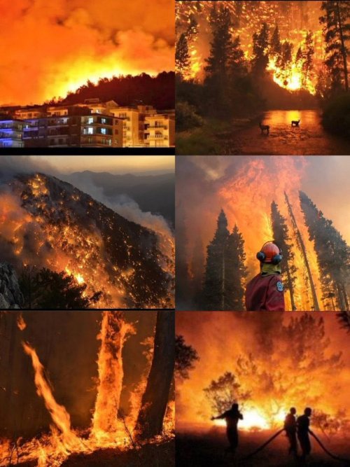 HELP US! TURKEY IS BURNING