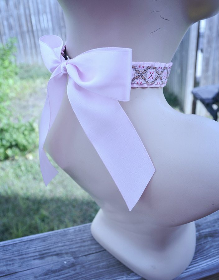 kittensightings:  Better pictures of the new collar style. Yes, bigger bows now.