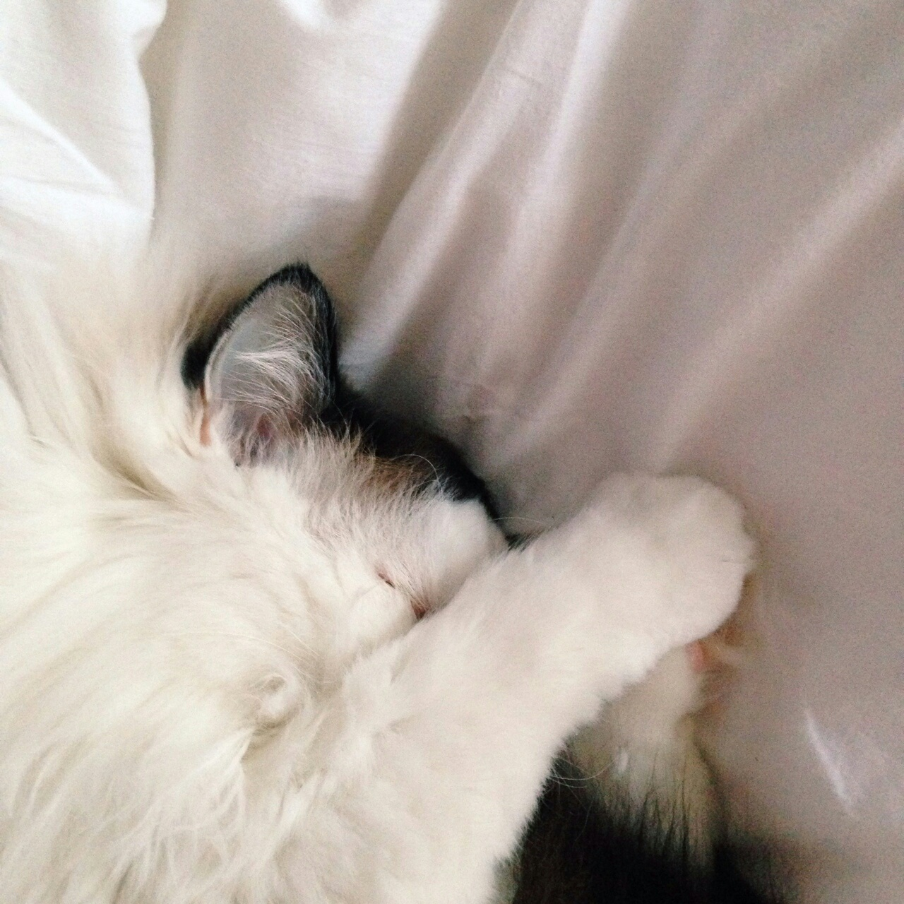 If i hide, will Monday go away?