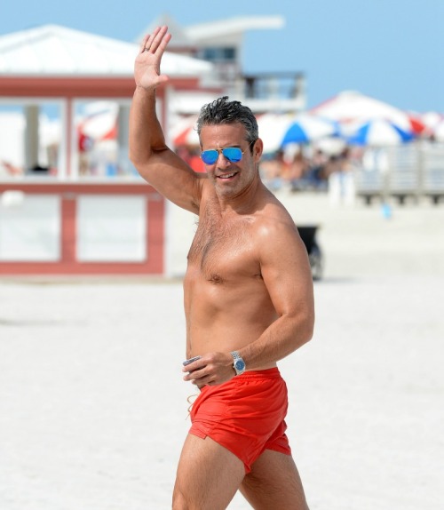 pussyboyfaggot:  dailydoseofdilf:  holydilfbatman:  He looks quite like my boyfriend.   ok andy cohen, we see you  You bet your ass i would