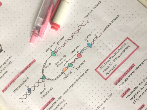 Some notes on genetics