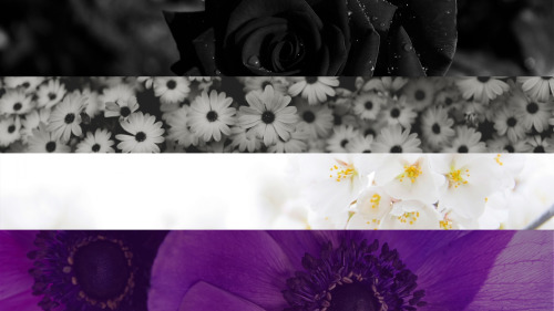 eat-sleep-and-race:I made some flags out of flowers after a friend showed me a really great Asexual flag in the same style. so this is my image set. Enjoy and feel free to use them as your wallpaper if you like but if you want to use them elsewhere please