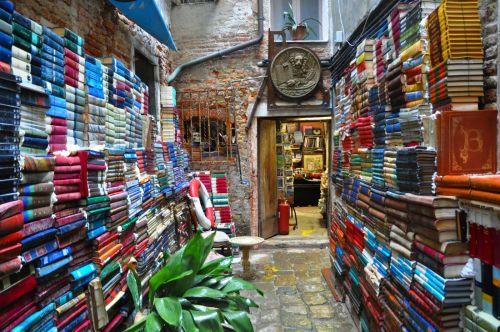 ze-violet:  onepercentaboutanything:  violetemotions:  eradimaggio:  imieitsunami:  comet-appears:  sussurri:  Libreria Acqua Alta, Venezia.  Dio  ci devo andare. devo.  Machepostobellosei?  Un motivo in più per andare a Venezia.  Per chi non c’è