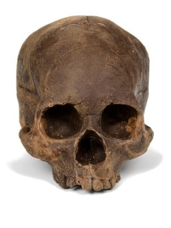 Chocolate Skulls - Edible Solid Dark Chocolate Skull. What Better Thing To Give Your