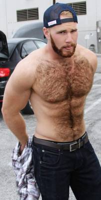 Hot Hairy Men