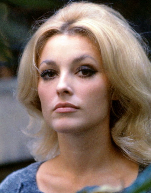 65eatonplace:Sharon Tate photographed by Graham Attwood in 1965