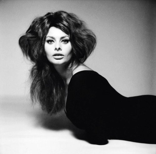 wehadfacesthen:Sophia Loren, 1961, photo by Richard Avedon