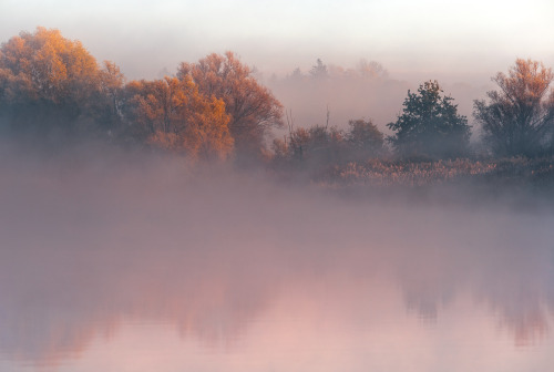 dennybitte:   a quiet foggy morning  by Denny Bitte