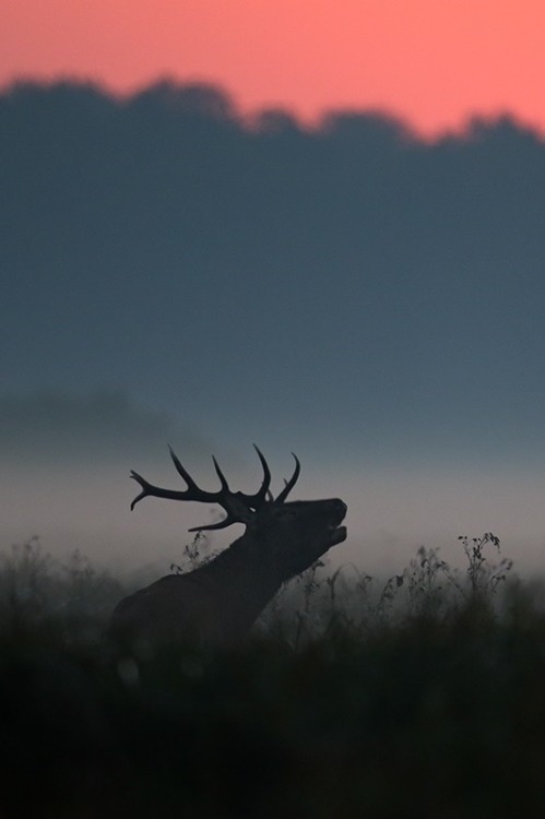 0ce4n-g0d:  In the darkness by Marcin Nawrocki