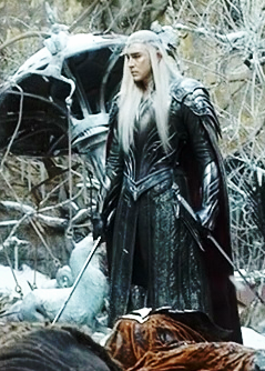 Thranduil arrives in city of Dale. 