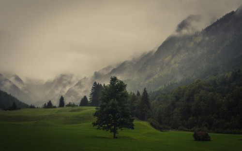 Valley of Trettach by Jerdess