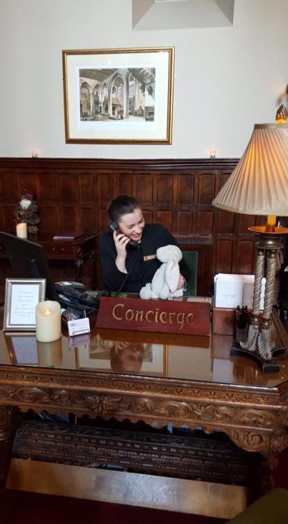 magnus-hiddleston:eve1978:comebackclint:archiemcphee:Losing your best stuffed animal friend is a ter