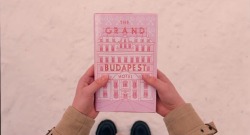 advocae:  The Grand Budapest Hotel [dir. Wes Anderson] 