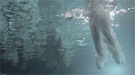 justinbiebergifs: When you’ve reached a certain point in your life, there are people out there waiting to see you fall. But rather than let gravity take you down, sometimes you have to take matters into your own hands, and fly.