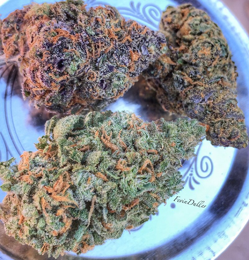 weedporndaily:  GDP🍇  Platinum Cookies🔱🍪 Dream Queen💤👸🏼 @marijuanaisnature