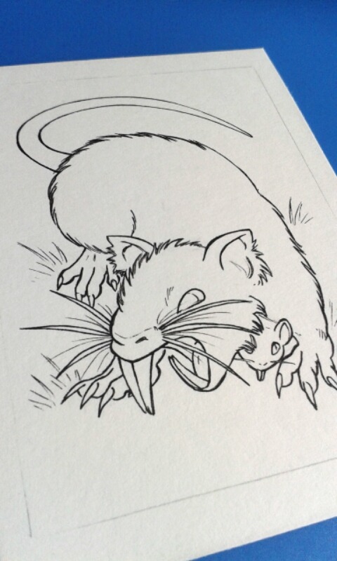 Yay, My Little Rat Pokmon! I Loved These Two When I Was Little Because I Desperately Wanted A Pet Rat.