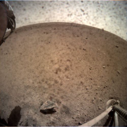 InSight: Sol 22 was seismometer deployment day, and it looks like round 1 of the robo-claw game went