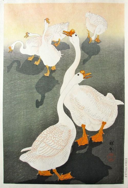 heartbeat-of-leafy-limbs: OHARA KOSON Six Geese and the Shadow [1926]