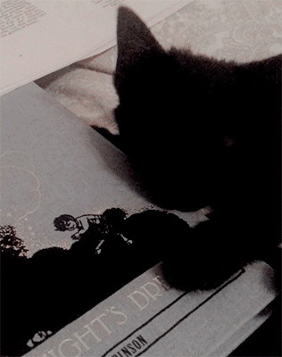 xshayarsha:current interest: eating shakespeare.