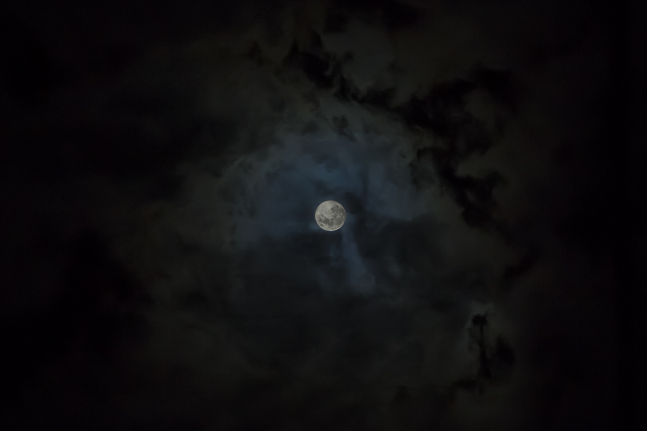 jakeling:  MoonBy Jake Weisz.