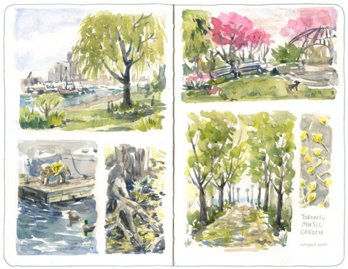 Plein air watercolour studies at the Toronto Music Garden. The highlight was probably the dog in the