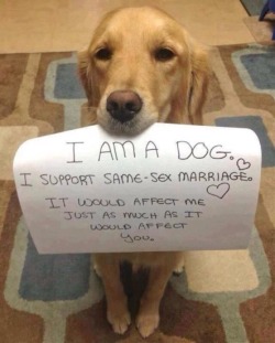 our-lesbian-adventure:  The dog gets it.
