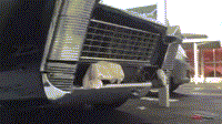 highlandvalley:  うきょー氏。@7/17 - Wheelsさんのツイート: “#警察に言われたこと