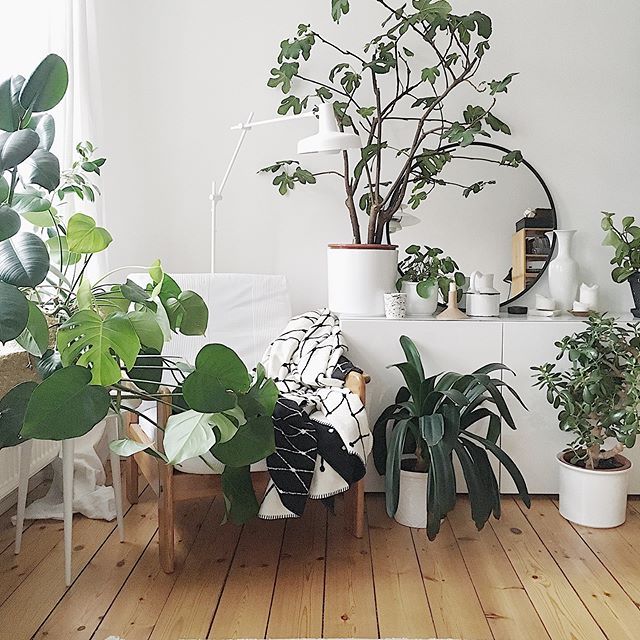 Via**https://www.instagram.com/studio_nahili/