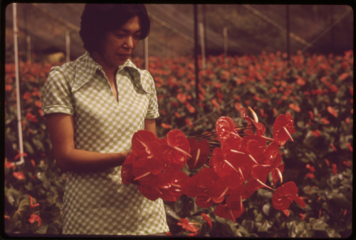 1970saesthetic:Hawaii, 1970s. Photography by Charles O’Rear