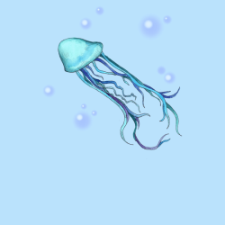 pr1nceshawn:  KY Jellyfish by  Ludwig Van