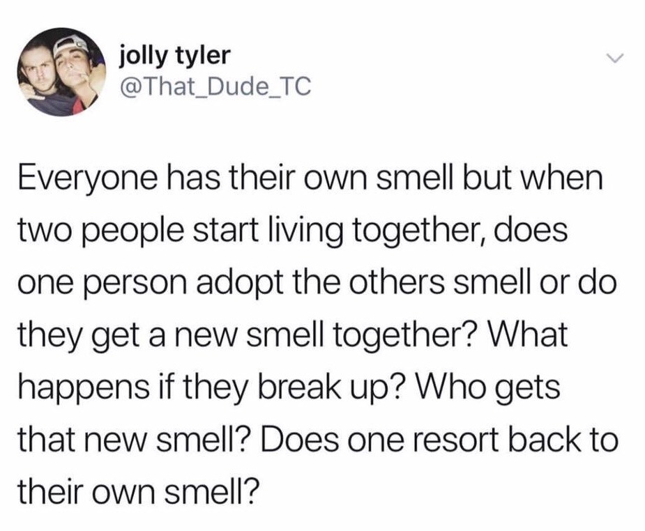 dankmemeuniversity:  