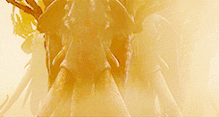 lotrlorien:  For like a shaft, clear and cold, the thought pierced him that in the