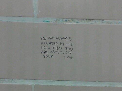 blackbird.