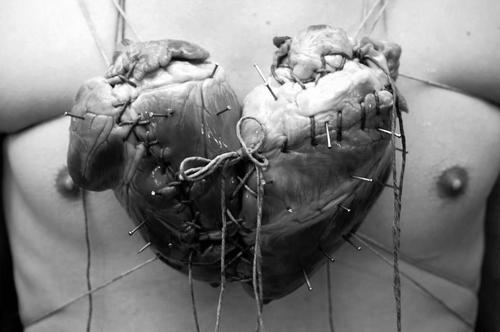 enmimundoimaginario:  La forma tan conocida del corazón que dibujamos, se debe a la unión de dos corazones. 