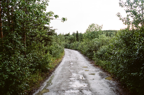cerceos:  Wes Sumner | Tumblr Alaska