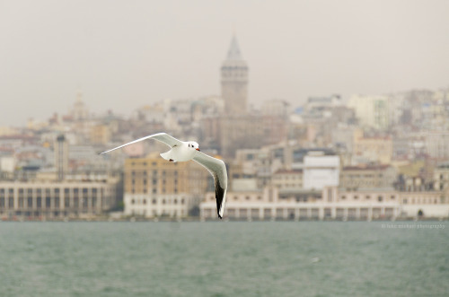 Istanbul, Turkeyinstagram | 500px | Flickr | Facebook