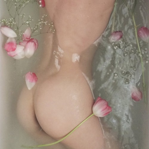 Porn brookelynne:  tulips & baby’s breath photos